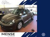 Volkswagen Beetle Cabriolet 1.2 TSI Design Navi|Xenon|PDC - Volkswagen Beetle in Bielefeld