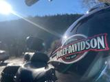 Harley-Davidson Herbstschnapper Heritage Softail Classic  - HARLEY-DAVIDSON 2007 HERITAGE SOFTAIL