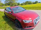 Audi A4 Avant TFSI ultra design +HU neu +Massagesitze - Audi A4: Rot