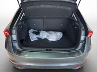 Skoda Scala - Vorschau Bild 17