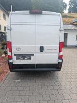 Toyota Proace Max - weiße Toyota Proace Max