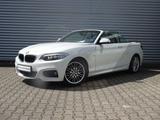BMW 218i Cabrio M Sport 1.Hand! wenig-km! FSE+USB SH - : Cabrio, Us