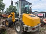 Paus RL 655 - Paus Radlader