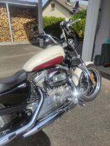 Harley-Davidson Sportster Super Low 883 - Offers matching your search criteria