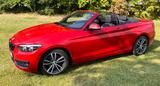 BMW 218d Cabrio Sport Line Sport Line - BMW 2er Reihe mit Diesel-Antrieb: Cabrio