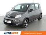 Fiat Panda 1.0 Mild-Hybrid Sport*PDC*ALU*START/STOP* - Fiat Panda: Sport