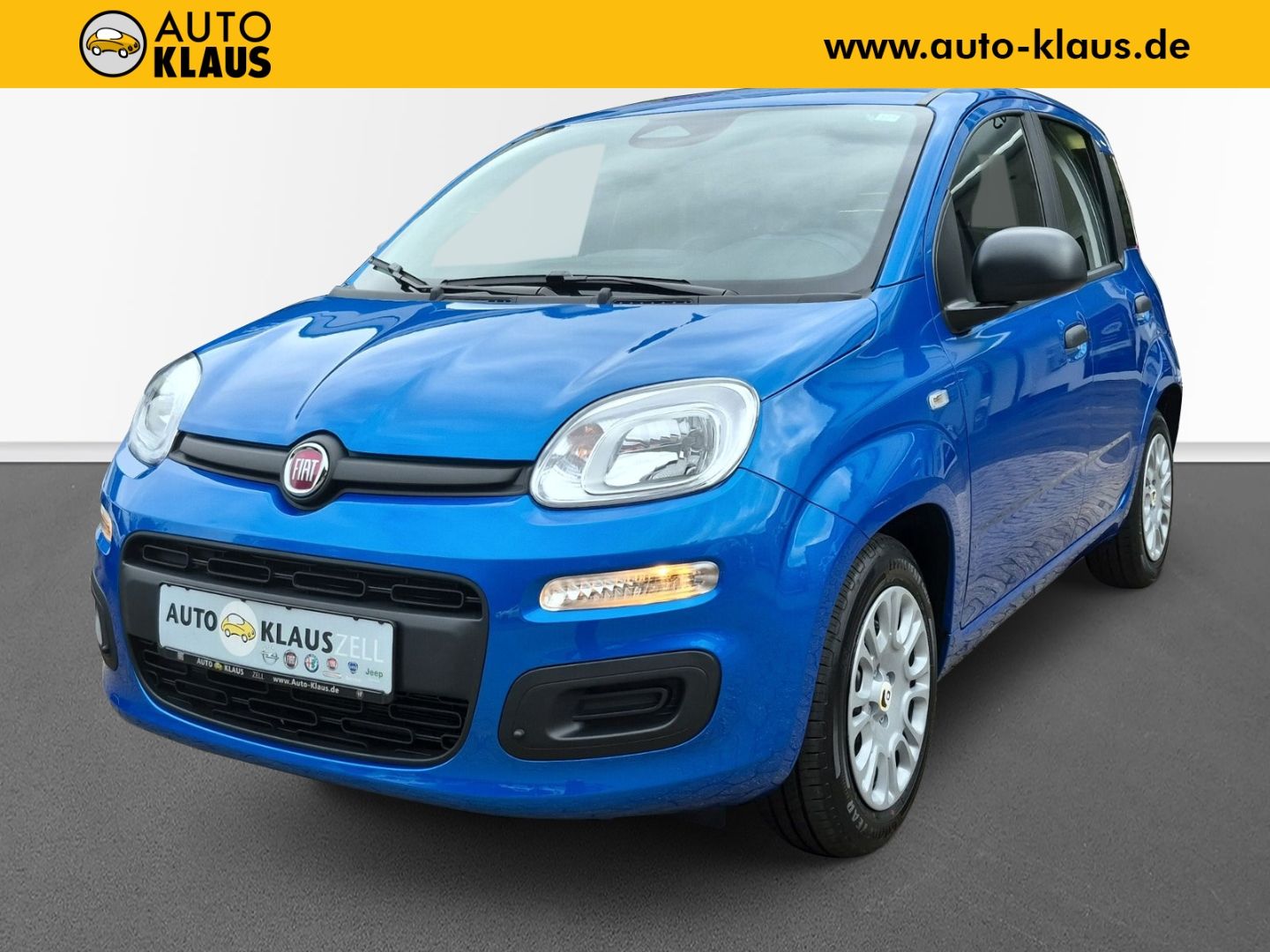 Gebrauchtwagen Fiat Panda Panda Pandina 1.0 Icon in Zell/Mosel