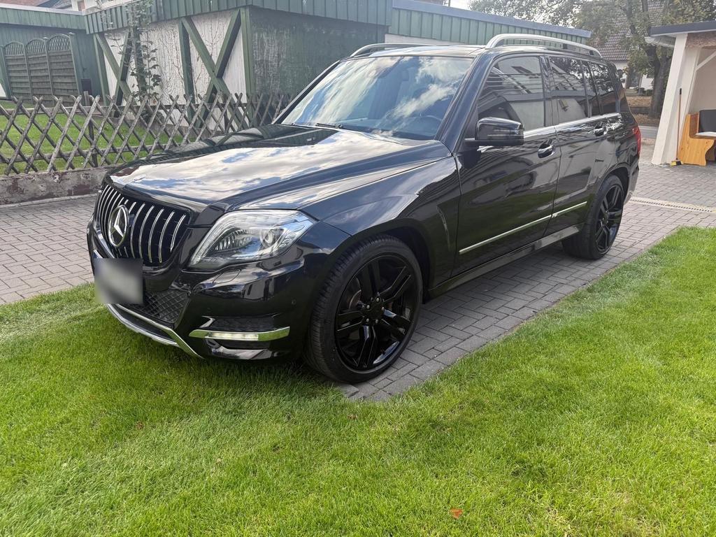 Mercedes-Benz Mercedes GLK 220 4 Matic