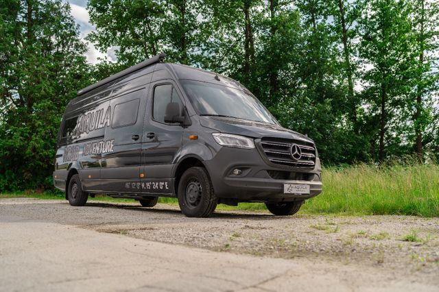 Mercedes-Benz Sprinter 319 DCI  L3 H3 ACC, AHK, 140kW