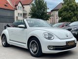 Volkswagen Beetle Cabriolet Cup *AUTOMATIK*PDC*60'S LOOK - Volkswagen Beetle: Auto