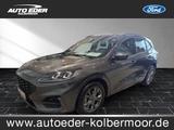 Ford Kuga ST-Line leichter Hagelschaden Sportpaket - : Hagelschade