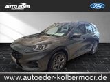Ford Kuga ST-Line leichter Hagelschaden Sportpaket