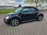Volkswagen VW Beetle Cabrio - Volkswagen Beetle aus 2008: Cabrio