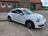Volkswagen Beetle 1.4 TSI BMT CUP CUP - Volkswagen Beetle