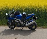 Suzuki SV1000s - Offers