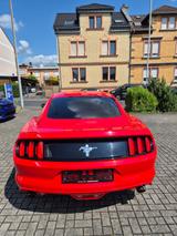 Ford Mustang 3,7  "LPG GAS - Ford mit Benzin-Antrieb: Coupé