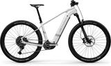 Centurion Backfire R1000 47 cm (L) - Centurion E-Bikes