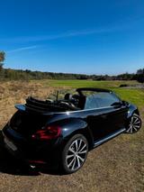 Volkswagen Käfer - Volkswagen Käfer: Roadster