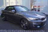 BMW 218 i M Sportpaket Navi/Xenon/Harman Kardon - BMW 218 Gebrauchtwagen