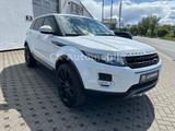 Land Rover Range Rover Evoque Pure/Navi/Kamera/PDC - gebrauchte Land Rover Range Rover Evoque aus dem Jahr 2015