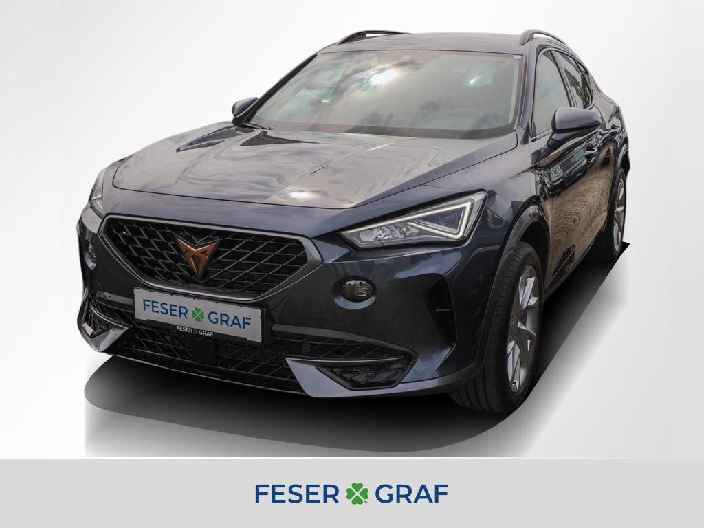 Cupra Formentor 1.5 TSI DSG APP AHK Kamera LED SiHz