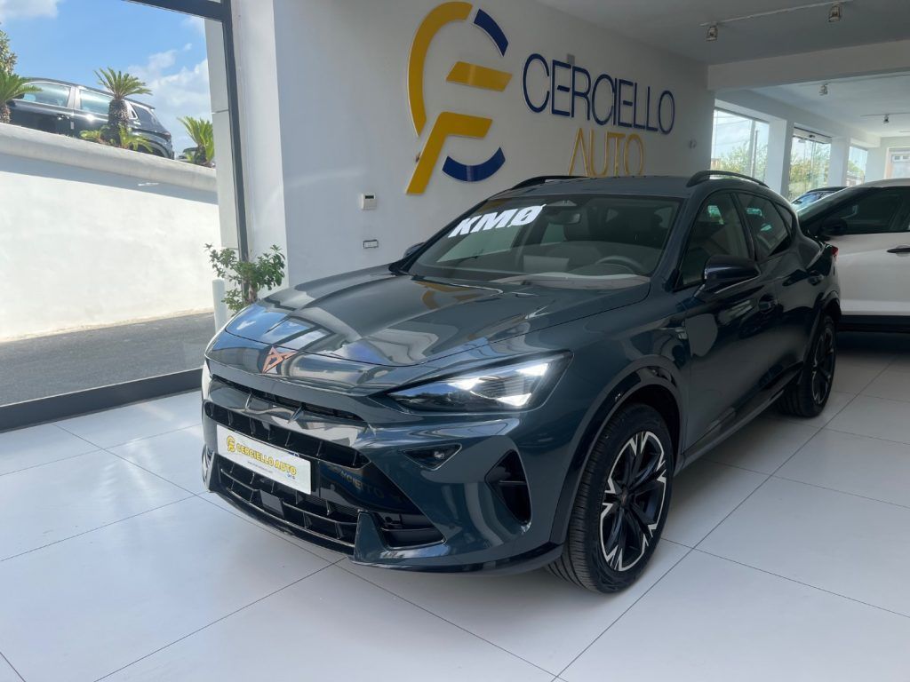 Cupra CUPRA Formentor 2.0 TDI DSG tua da 389,00 mensil