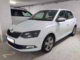 Skoda Fabia 1.0l TSI 81kW Style, 8fach Alu - Skoda Fabia von privat