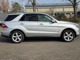 Mercedes-Benz ML 350 CDI BlueTec*LEDER*KAMERA*AHK*TOP GEPFLEGT - Mercedes-Benz ML 350 in Mainz