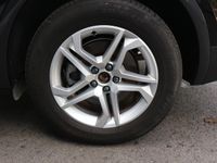 Audi Q5 - Vorschau Bild 7