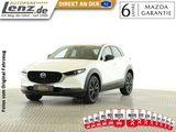 Mazda CX-30 Homura LED Navi HUD ACC FSE SHZ Kamera PDC - Mazda Neuwagen: Geländewagen