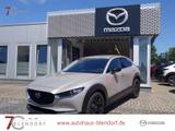 Mazda CX-30 Homura 140 Automatik Navi|Alexa|LED - Mazda Gebrauchtwagen in Essen