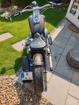 Harley-Davidson FXSTS Springer - HARLEY-DAVIDSON FXSTS