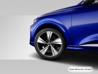 Audi SQ5 - Vorschau Bild 8