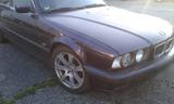 BMW 5er-Reihe 525i Edition touring Kombi /... - gebrauchte BMW 525 aus dem Jahr 1996