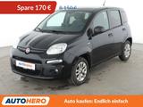 Fiat Panda 1.2 More*PDC*KLIMA*LM-FELGEN*GARANTIE* - Fiat Panda: Schwarz