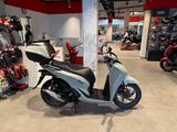 Honda SH125 mit nur 503km *Service neu* - HONDA SH 50
