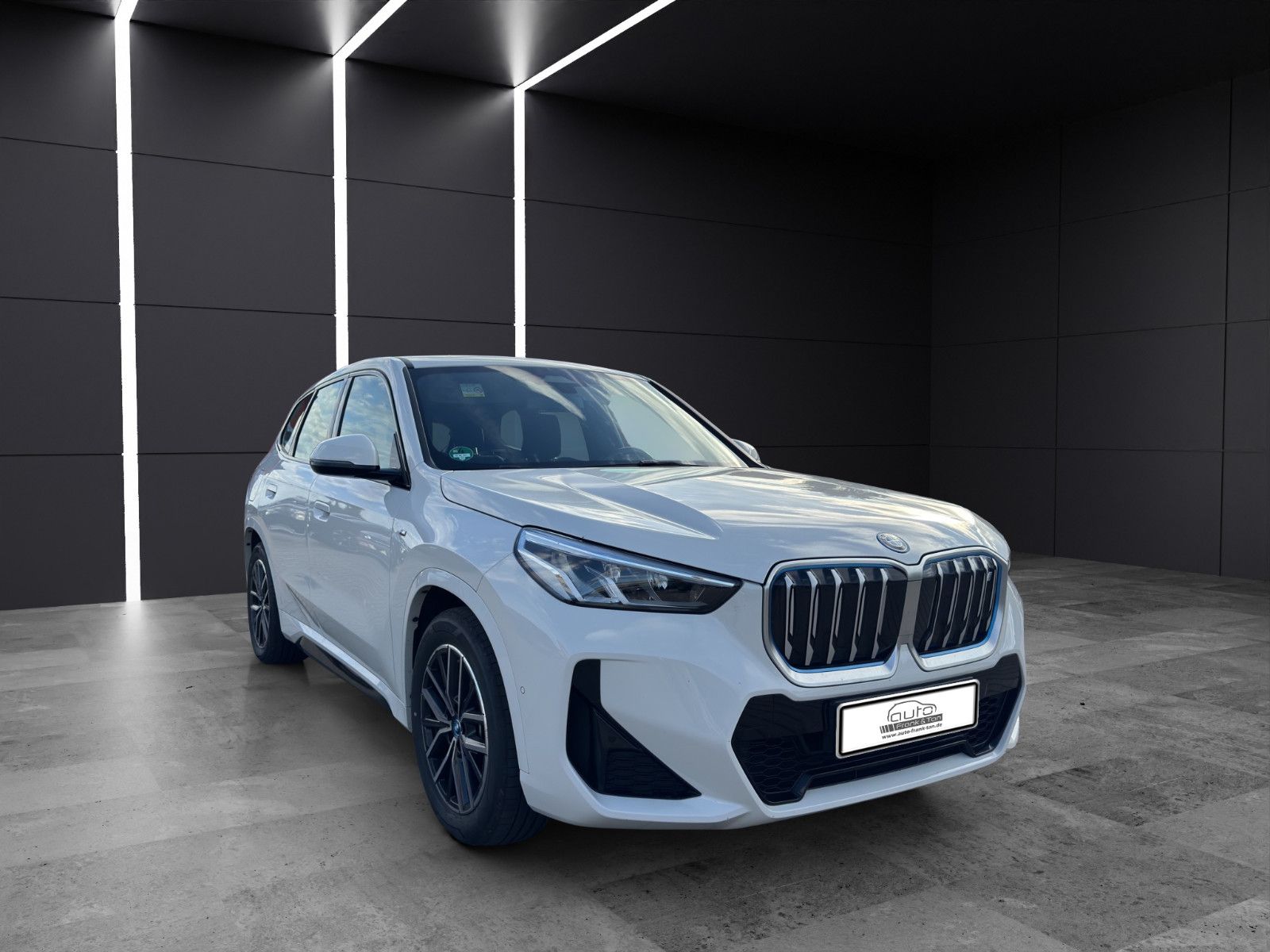 Fahrzeugabbildung BMW iX1 30 xDrive M Sport/Apple/Massage/Performance/