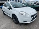 Fiat Grande Punto 1.2 8V Active - Fiat Grande Punto aus 2009