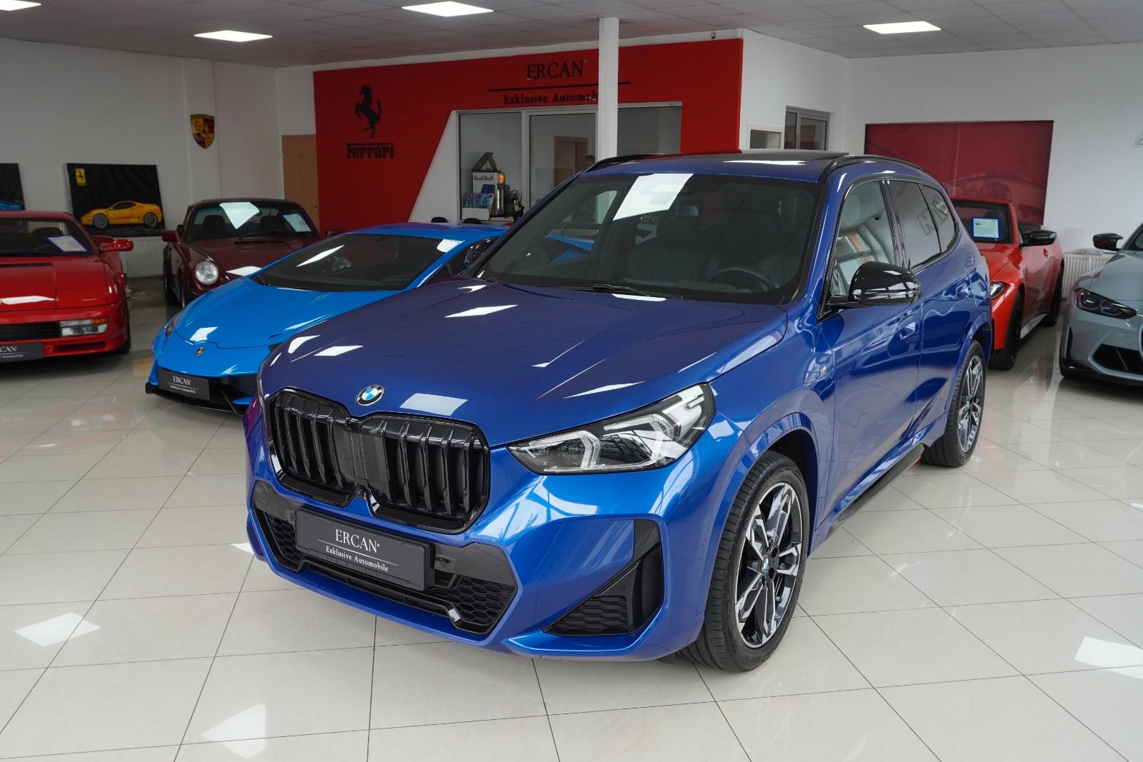 BMW X1 xDrive 23 d M Sport / Pano / Massage / Leder