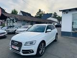 Audi SQ5 3.0 TDI competition quattro - Audi SQ5: Competition