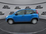 Fiat Panda 1,0 Hybrid PDC TFT Tacho Klima Bluetooth - Fiat Panda Gebrauchtwagen in Bielefeld