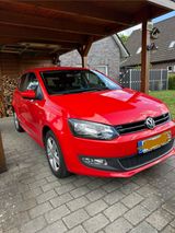 Volkswagen Polo 1.2 TSI 66kW LIFE LIFE
