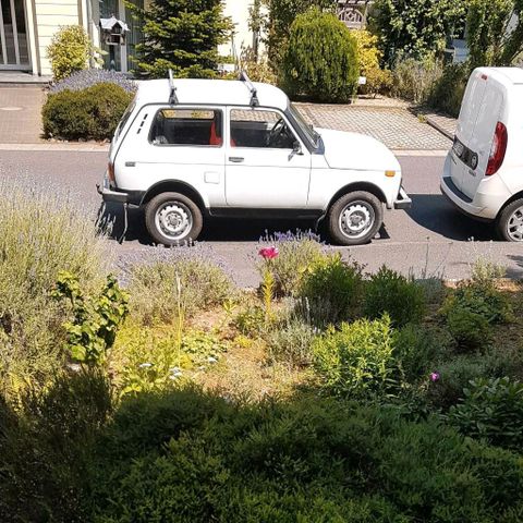 Lada Niva 1600 44