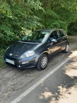 Fiat Punto Evo 1.4 8V Start&Stopp Dynamic - Fiat Punto Evo in Essen