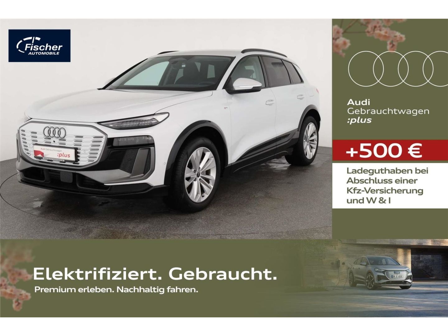 Audi Q6 e-tron SUV S-Line 20''/360/W-Pumpe/LED+