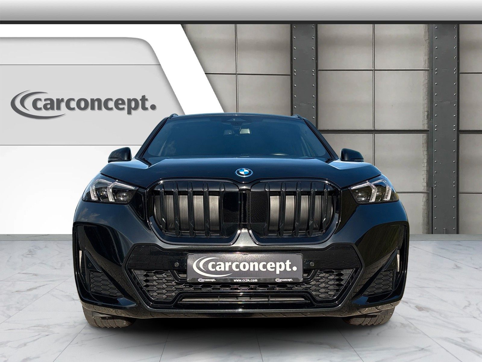 BMW X1 xDrive30e M Sport Pro*19*Pano*AHK*ACC* imagem 3