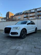 Audi SQ5 3.0 TDI plus tiptronic quattro - Unfallfrei - Audi SQ5 Gebrauchtwagen in Köln
