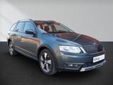 Skoda Octavia 2.0 TDI NUR GEWERBE 1 Hd. 4x4 DSG Scout - Skoda Octavia: Allradantrieb, Scout