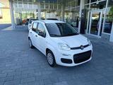 Fiat Panda Hybrid 1.0 FireFly 69cv ICON AZIENDAL - Fiat Panda Jahreswagen