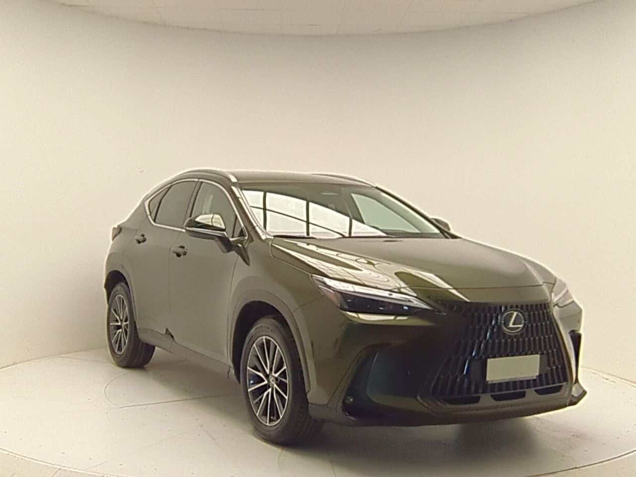 Other Lexus NX 300h 350h Hybrid Business